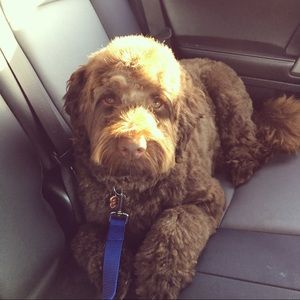 Meet your Posher, Maricel